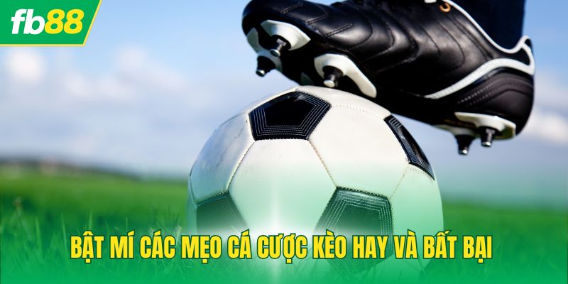 Bật mí các mẹo cá cược kèo hay và bất bại