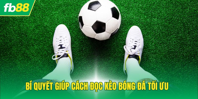 Bí quyết giúp cách đọc kèo bóng đá tối ưu cơ hội thắng cược