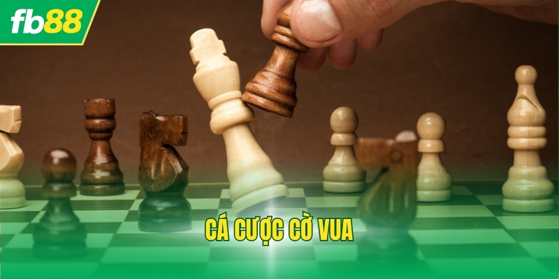 Cá Cược Cờ Vua