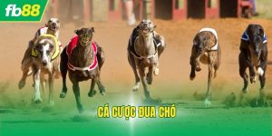 Cá Cược Đua Chó