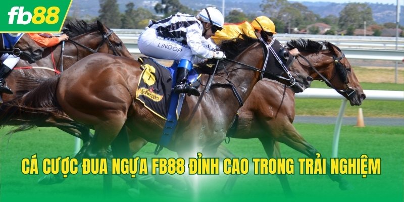 Cá cược đua ngựa FB88 đỉnh cao trong trải nghiệm