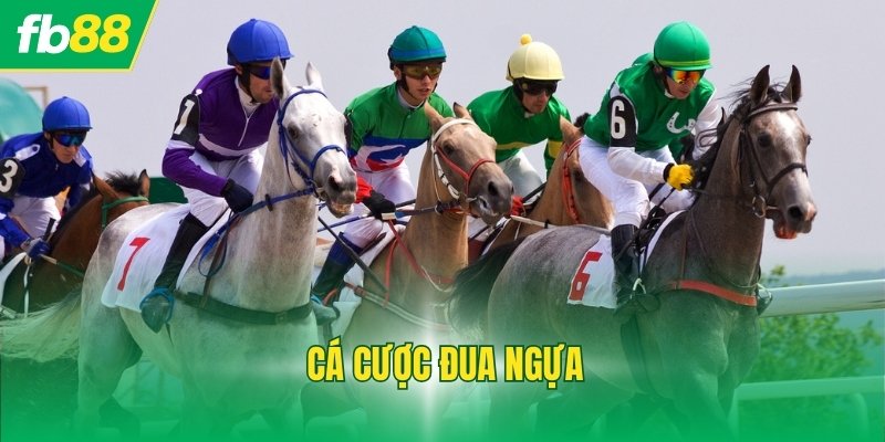 Cá Cược Đua Ngựa