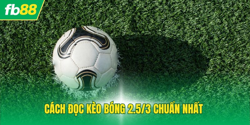Cách đọc kèo bóng 2.5/3 chuẩn nhất