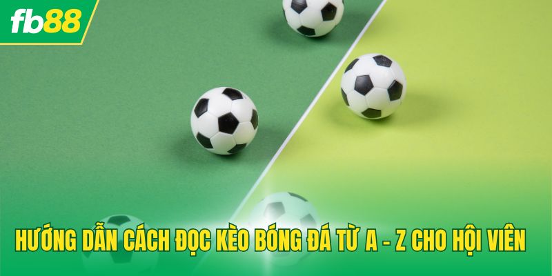 Cách Đọc Kèo Bóng Đá