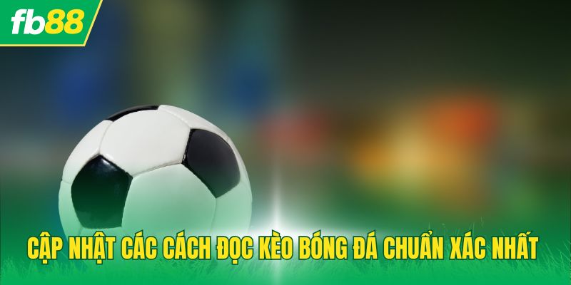 Cập nhật các cách đọc kèo bóng đá chuẩn xác nhất