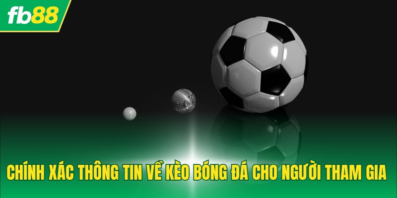 Chính xác thông tin về kèo bóng đá cho người tham gia