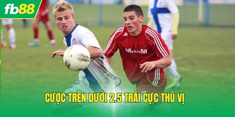 Cược trên dưới 2.5 trái cực thú vị