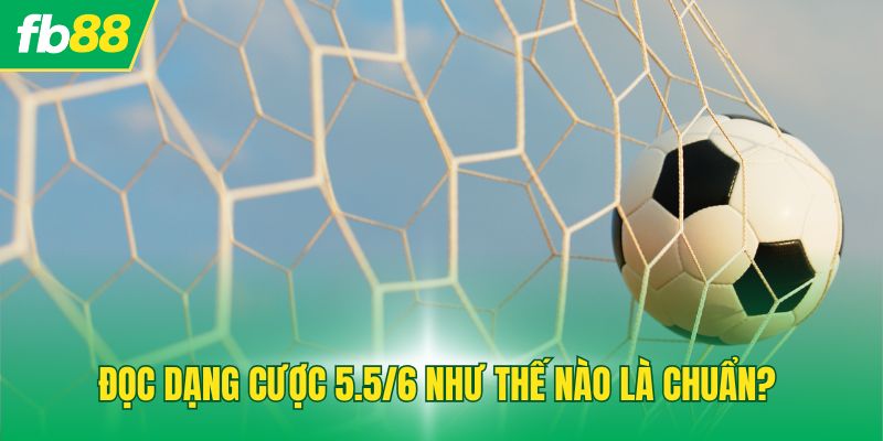 Đọc dạng cược 5.5/6 như thế nào là chuẩn?