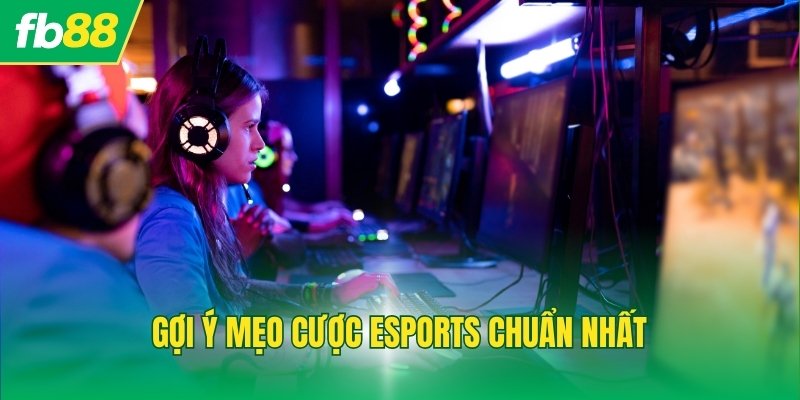 Gợi ý mẹo cược esports chuẩn nhất