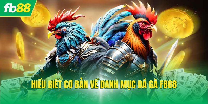 Hiểu biết cơ bản về danh mục đá gà FB88