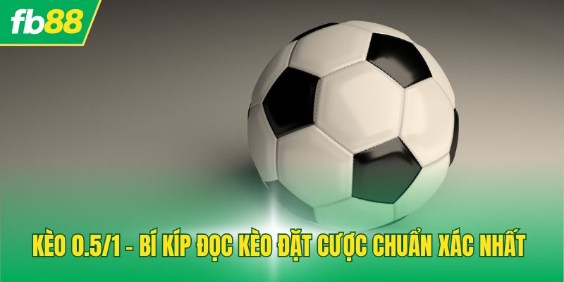 Kèo 0.5/1