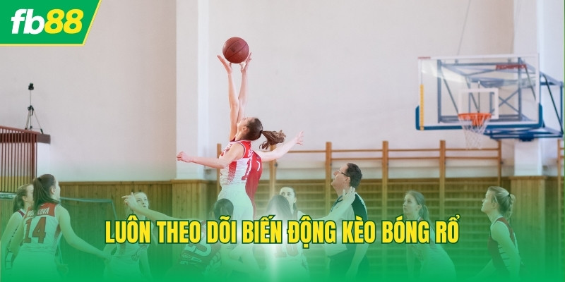Luôn theo dõi biến động kèo bóng rổ