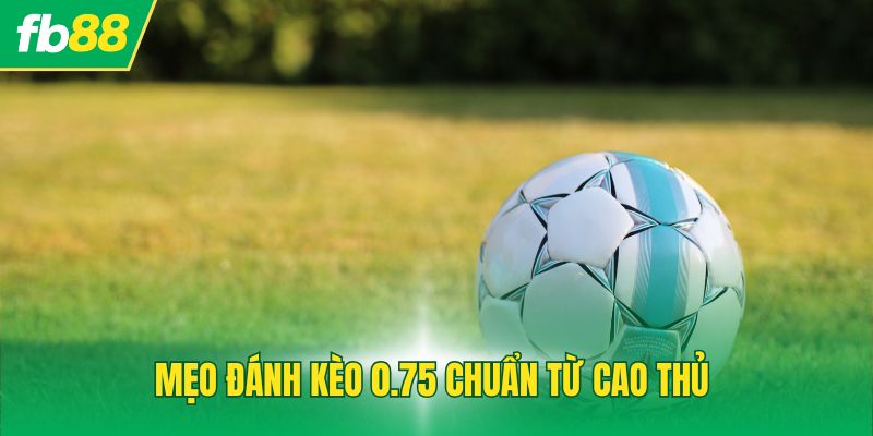 Mẹo đánh kèo 0.75 chuẩn từ cao thủ