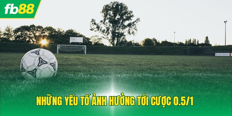 Những yếu tố ảnh hưởng tới cược 0.5/1