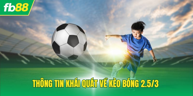 Thông tin khái quát về kèo 2.5/3 chuẩn xác