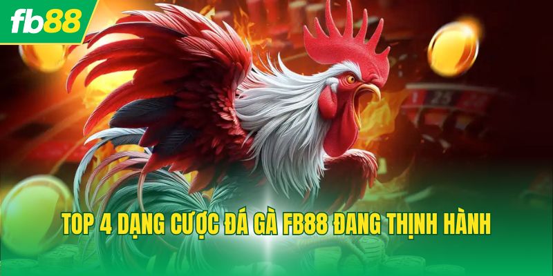 Top 4 dạng cược đá gà FB88 đang thịnh hành